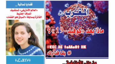 العدد 231