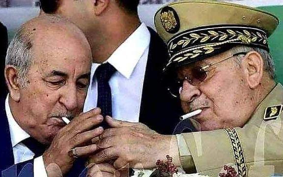 النظام الجزائري خطوات خجولة نحو إقامة صلح مع الذات